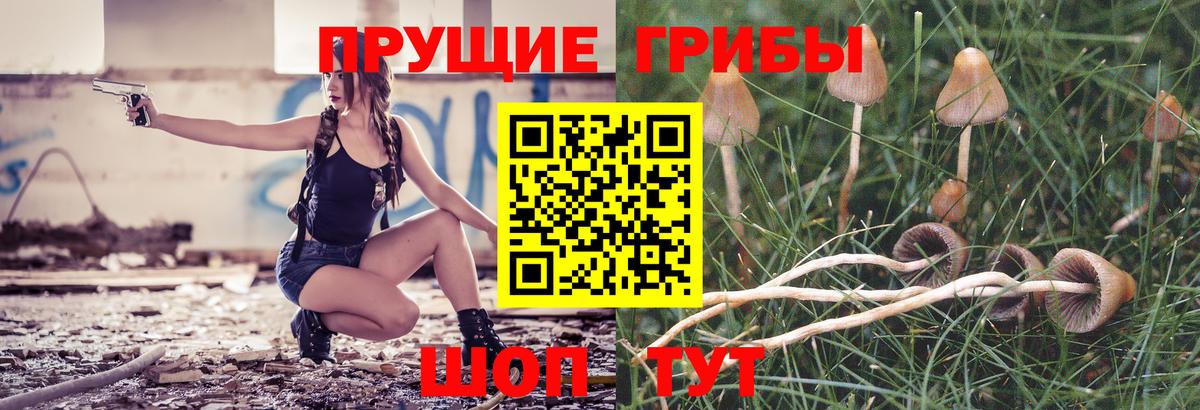 Псилоцибиновые грибы MAGIC MUSHROOMS  как найти наркотики  Арзамас  Вход с VPN 