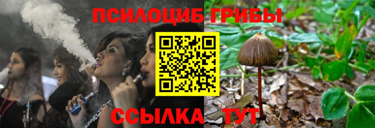 Галлюциногенные грибы GOLDEN TEACHER Арзамас